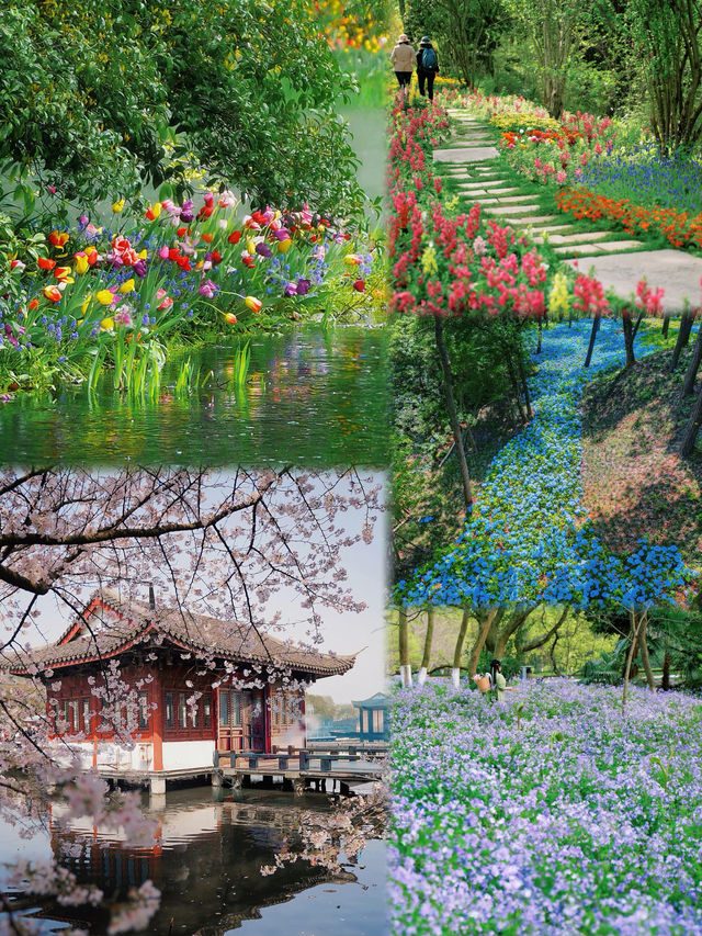 接下來的杭州，堪稱春日旅遊天花板