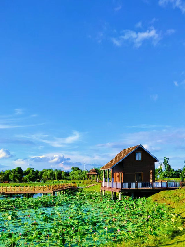 長嶺湖～免費體驗避暑，消夏好去處
