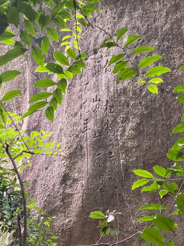 漳州雲岩洞｜隱藏在城市中的自然奇觀