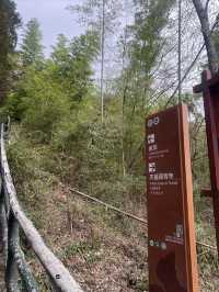 武功山登山之旅