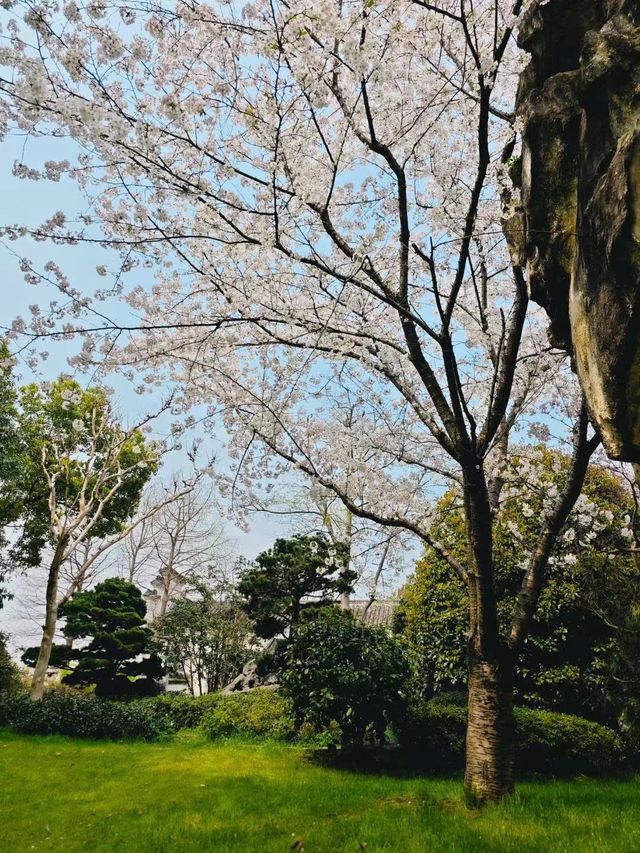 中國院子·夢溪苑