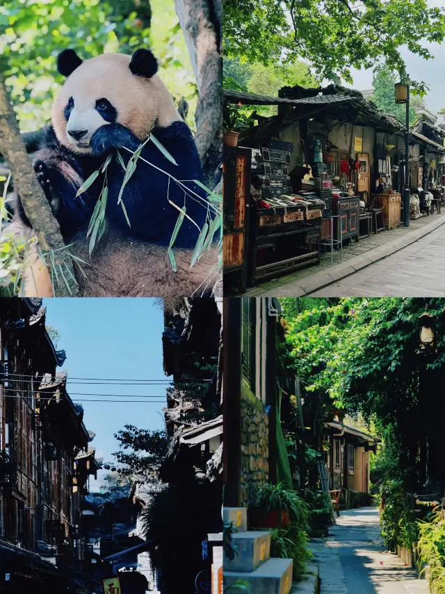When you come to Chengdu, be sure to set aside a day for Dujiangyan!