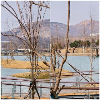 特種兵之調兵山一日遊（超宜居城市）