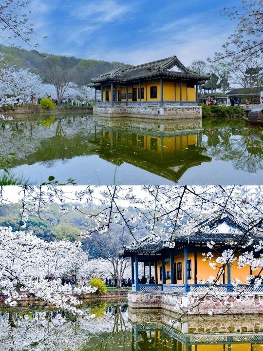 The Taihu Lake Yuantouzhu Scenic Sight🌸🇨🇳