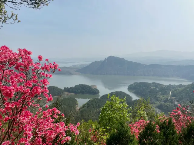 Visit Jinzhai to see the azaleas, Wangchun Valley, and Azalea Ridge