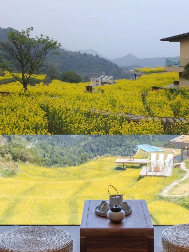 翻山越嶺為你而來，雲海上放空的治癒民宿