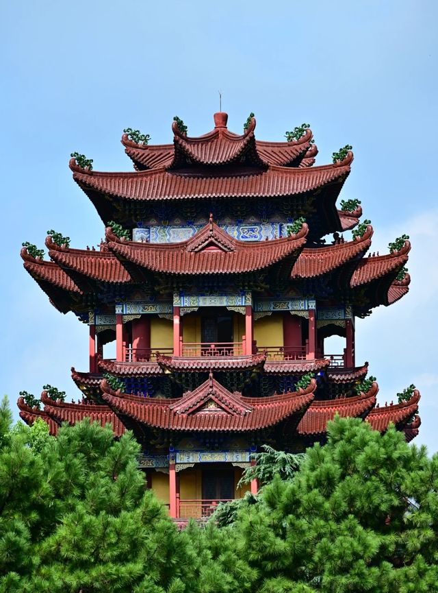 來「亞洲最大寺院」祈福——南海禪寺