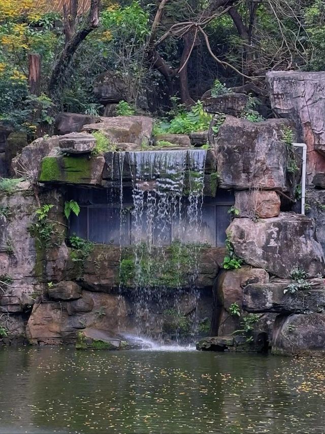 周末去哪裡？這不在蘇州在《東莞人民公園》