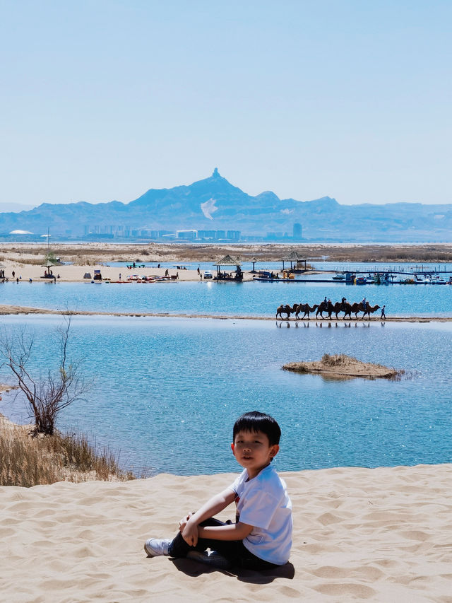 烏海夏日旅遊｜沙漠裡玩水上項目 坐船打卡網紅枯樹