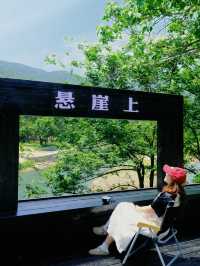屬於溫州的人間綠寶石！！被我發現了！！