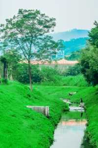 廣州夏日玩水·藏在市區裡的清涼小溪，溯溪玩水聖地！