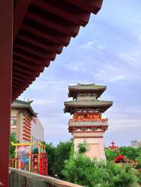 中華郡徒步之旅，感受歷史與自然的交融