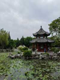河北保定古莲花池