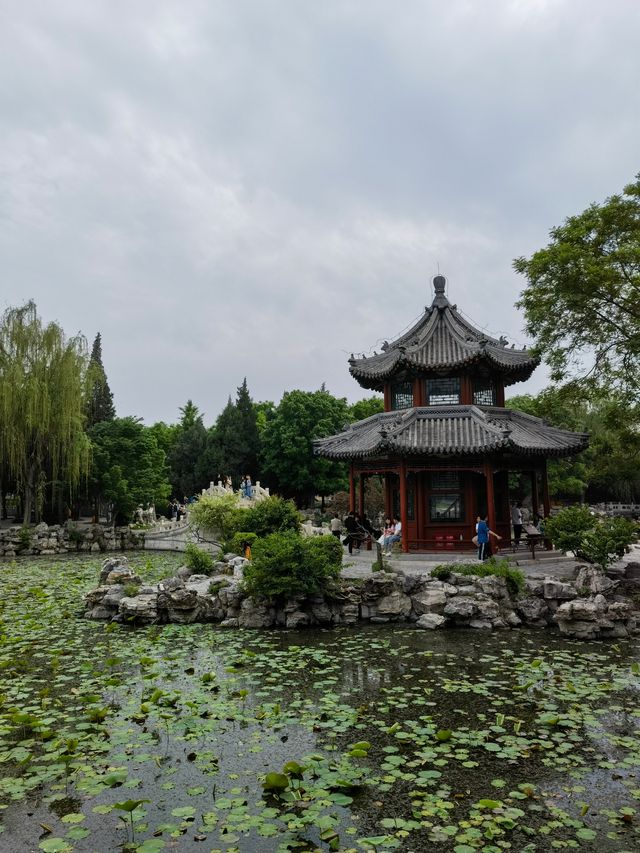 河北保定古莲花池 河北保定古莲花池