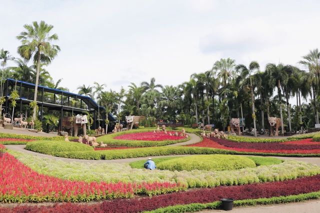 來芭提雅必去的美麗樂園。