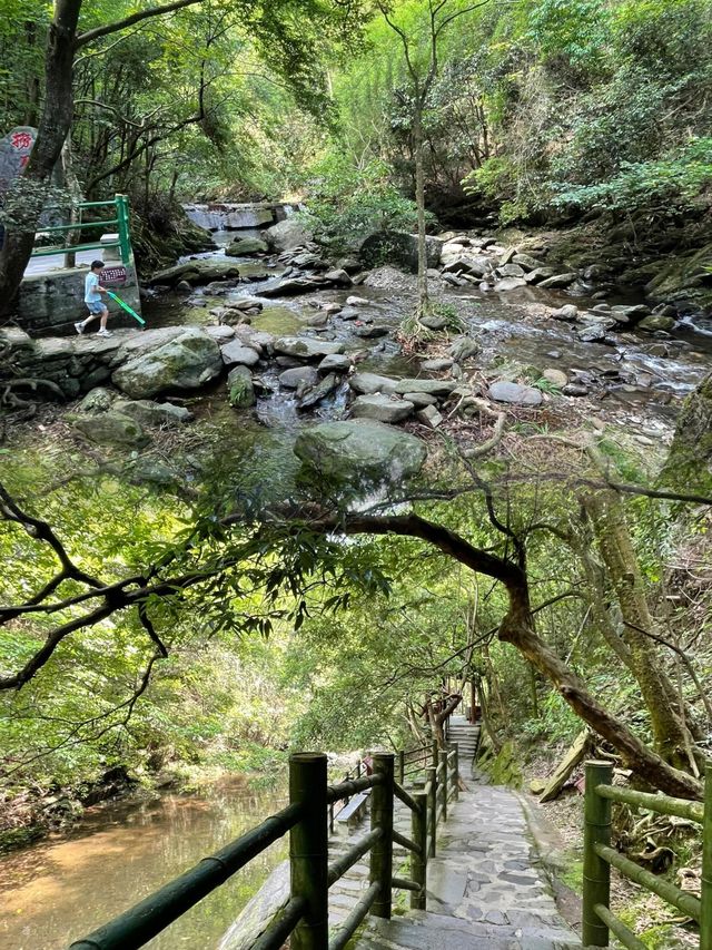 長沙近郊避暑秘籍 —— 周洛大峽谷，夏日裡的清新綠洲