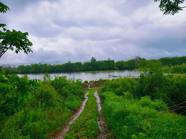 珍寶島森林公園