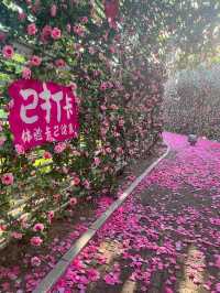 唐山南湖旅遊景區