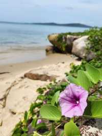 🏝️ Phu Quoc: Vietnam's Largest Island with a Twist 🇻🇳