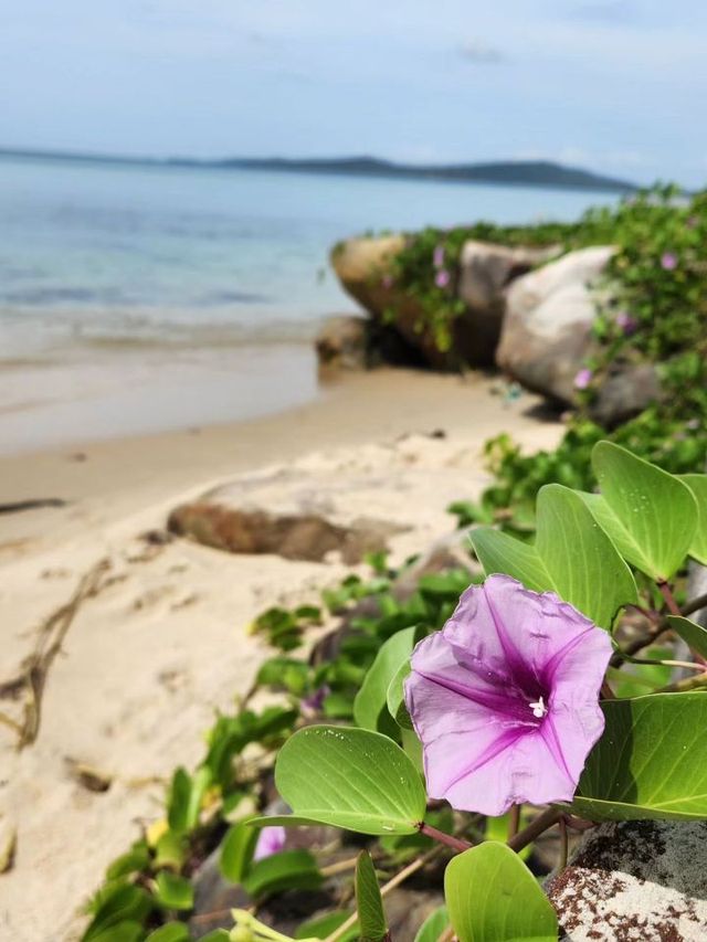 🏝️ Phu Quoc: Vietnam's Largest Island with a Twist 🇻🇳