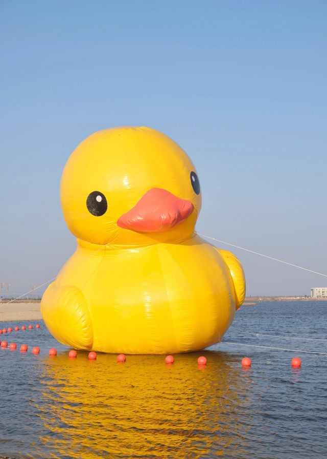 台州三門｜濱海新城粉色沙灘打卡地金麟湖