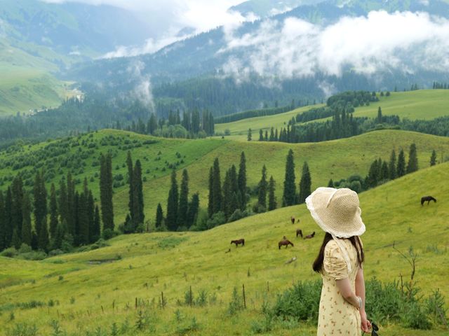 恰西森林公園:秘境中的綠色寶藏。 恰西森林公園:秘境中的綠色寶藏。