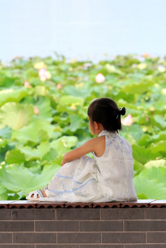 邛海·夏至·乘涼