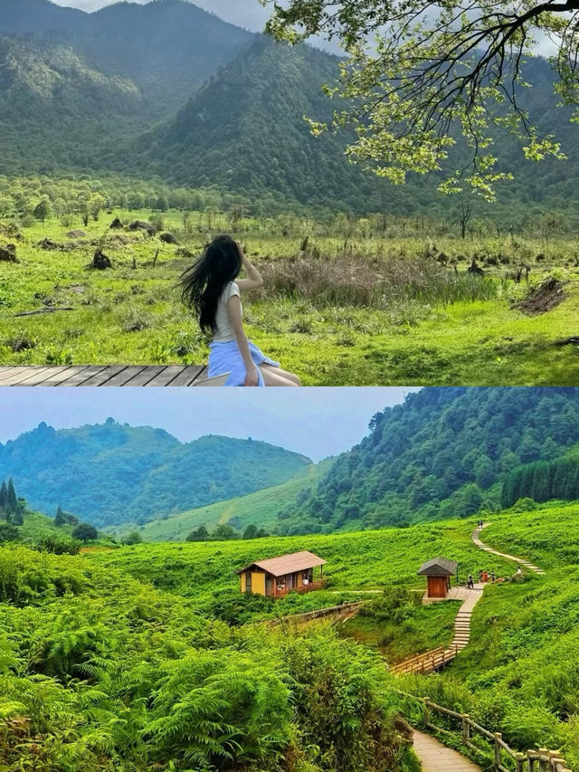 成都周邊|小眾秘境·馬里冷舊寵物友好