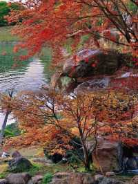 成都唯一想去無數次的公園……