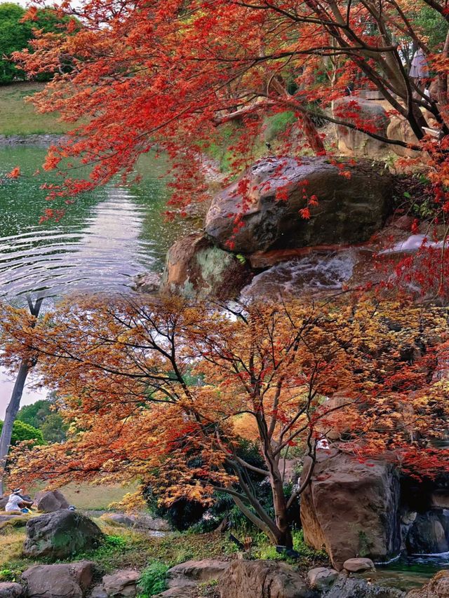 成都唯一想去無數次的公園……