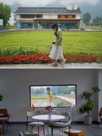 杭州梅雨季的仙境在桐庐｜天青色等烟雨，我在梅蓉村等你