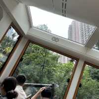Perfect Weekend in Hong Kong