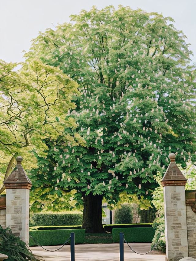 🌿 Oxfordshire Oasis: Countryside Chic at Belmond Hotel 🏡✨