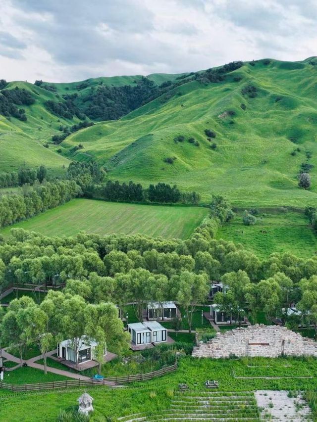 🌟 Xinjiang's Starry Delights & Natural Bliss 🏞️