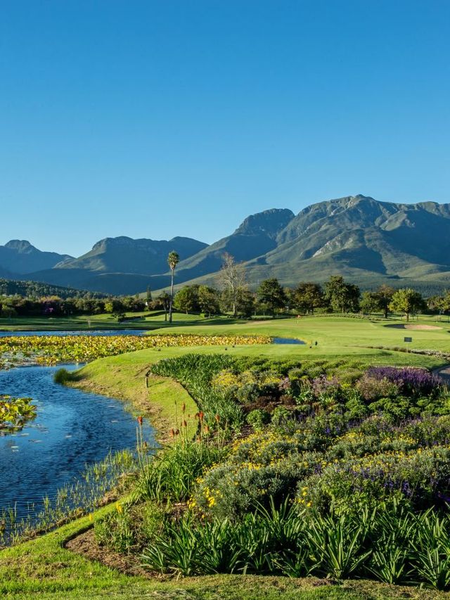 🌟 Luxe Getaway at Fancourt Hotel, South Africa 🌟