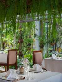 🌟 Siem Reap's Hidden Gem: Shintana Saya Residence 🌴