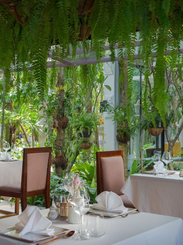 🌟 Siem Reap's Hidden Gem: Shintana Saya Residence 🌴