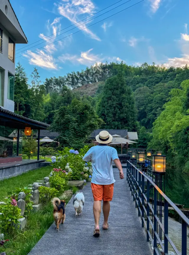 눈 덮인 산기슭의 숲 속 온천 민박, 20℃ 여름을 보내다