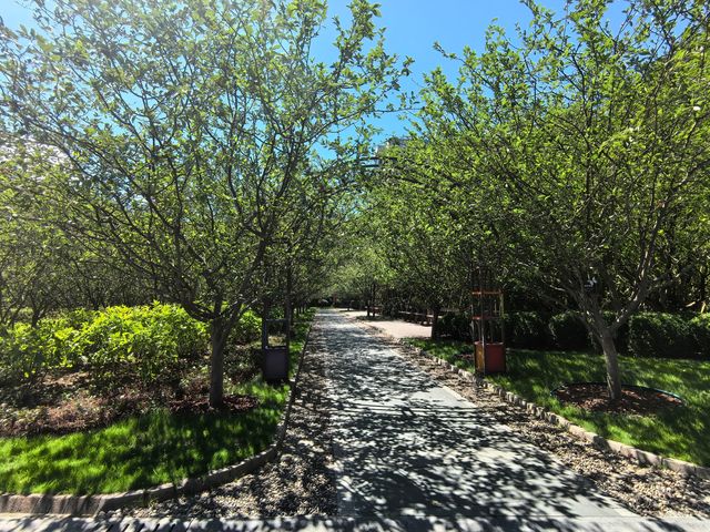城市公園圖鑑：上海人民公園