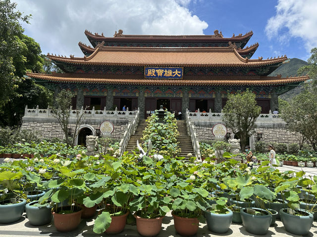 在大嶼山的行程安排～看這一篇就夠了