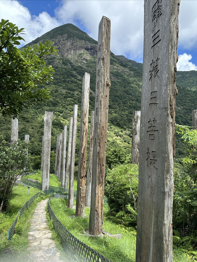 在大嶼山的行程安排～看這一篇就夠了