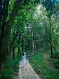 深圳小眾徒步路線，連接公園古鎮的舒適之旅🌳🏘