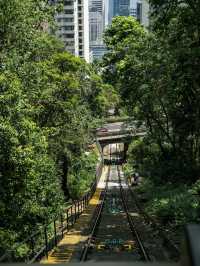 香港citywalk|港島還是蠻適合遛娃的