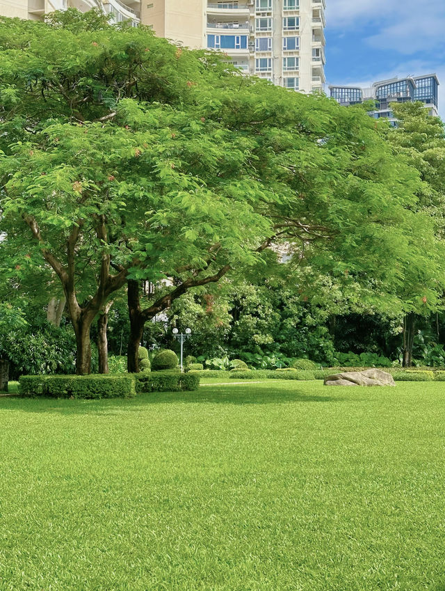 公園20分鐘 | 廈門南湖公園遊園記