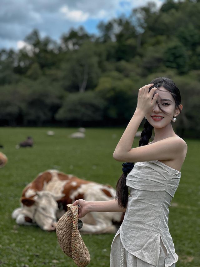 關山牧場我的阿勒泰