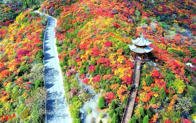 霜葉紅於二月花