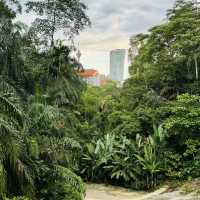 Hidden Hiking Trail in the city 🌳Taman Tugu Kuala Lumpur