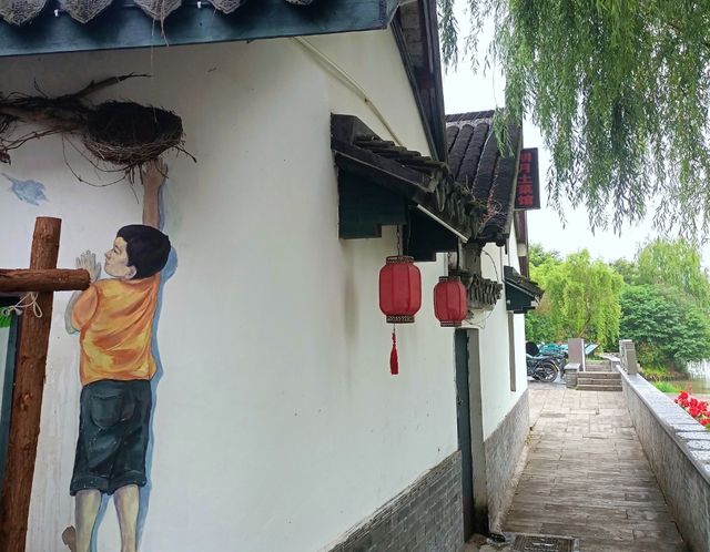 擁有三百年歷史的滬浙景點亮了，一橋跨兩省