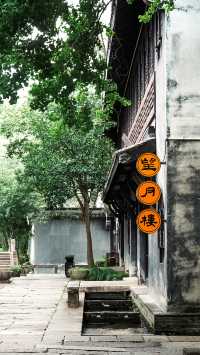 梅花洲怎麼變成綠野仙蹤了。
