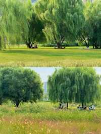 西安16個露營公園踩點!心中排前3的是...。